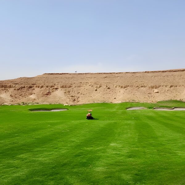 Atlas Turf Arabia Transforms Diriyah Golf Scene with Platinum TE Paspalum Turfgrass