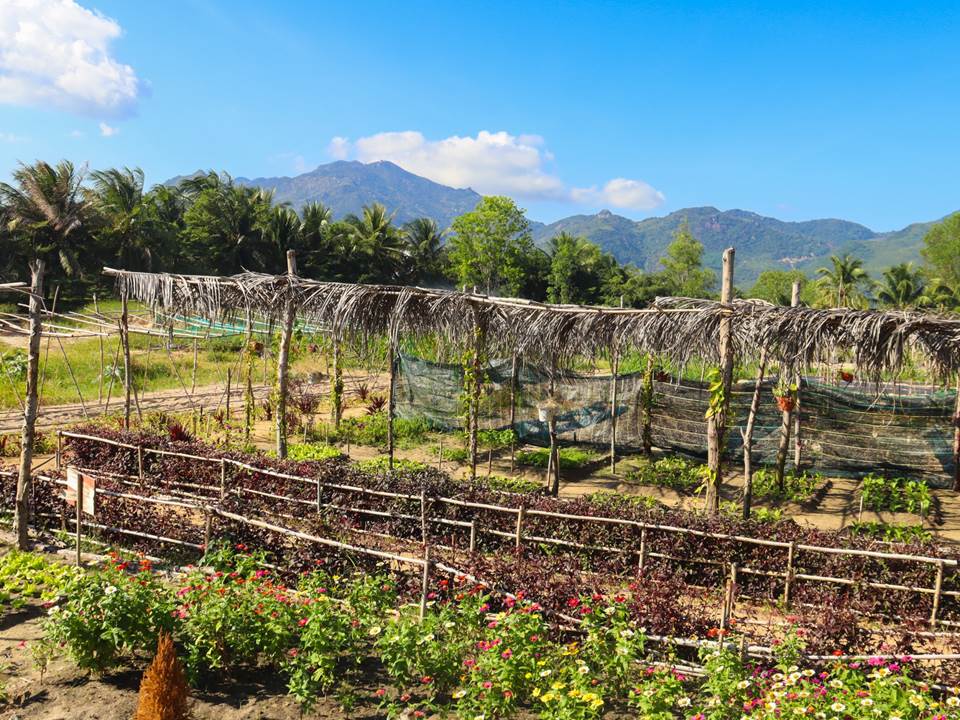 The Anam Cam Ranh Farm