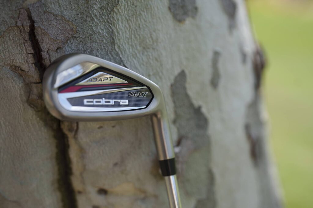 Cobra DS-ADAPT Iron