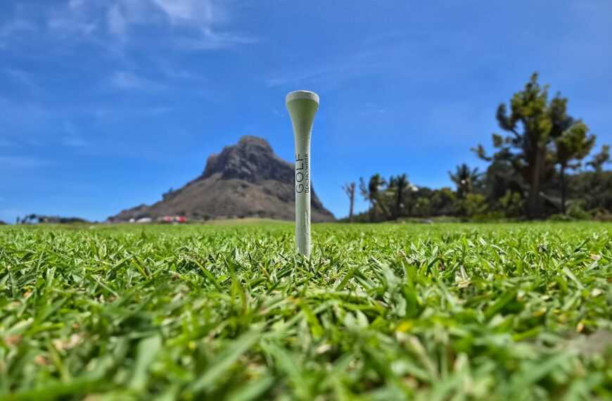 Paradis Beachcomber Tee with mountain in background