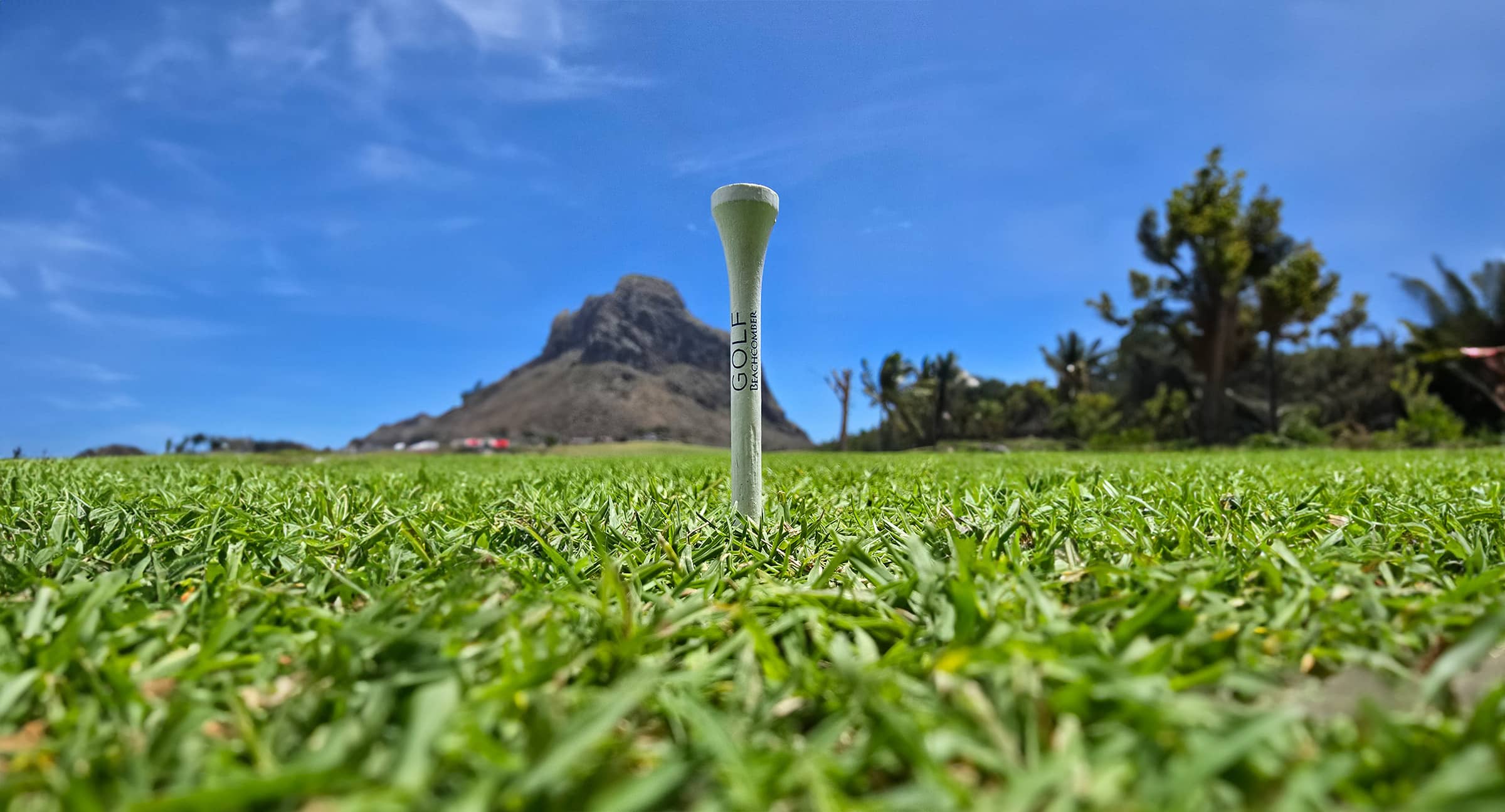 Paradis Beachcomber Tee with mountain in background