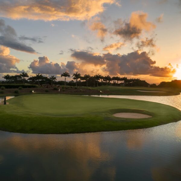 Apes Hill Golf Club 19