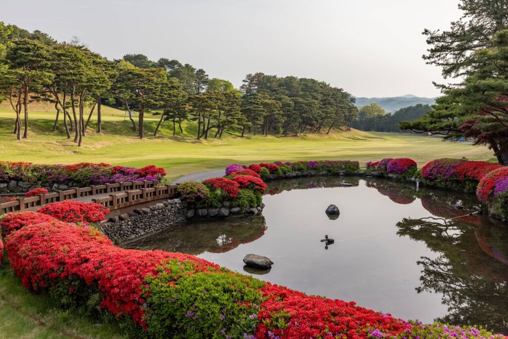 New Korea Country Club pictured ahead of the Aramco Korea Championship, the second of five events on the PIF Global Series in 2025.