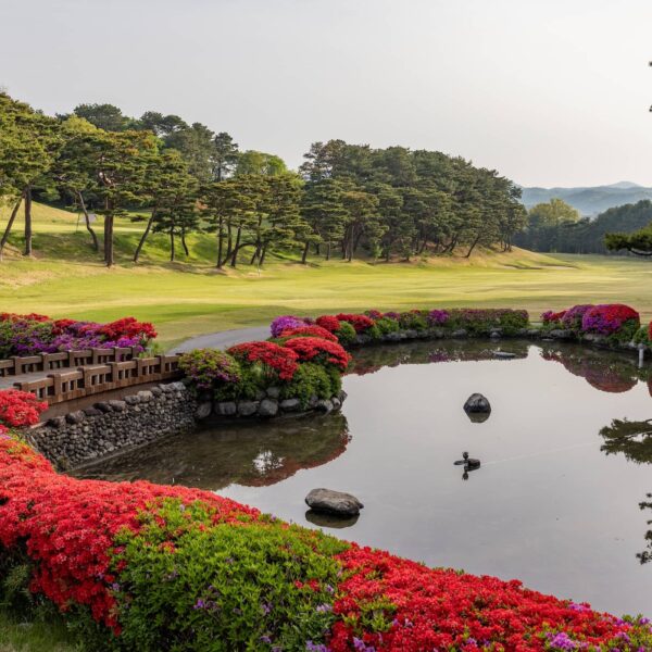 LET Stars Return to Seoul for $2M Aramco…