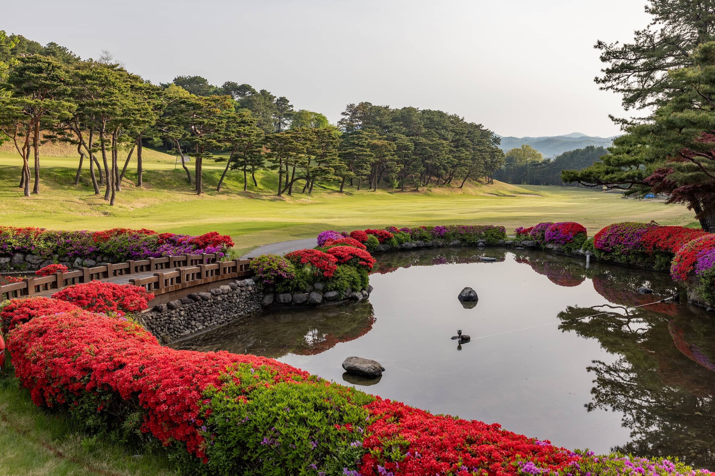 New Korea Country Club pictured ahead of the Aramco Korea Championship, the second of five events on the PIF Global Series in 2025.